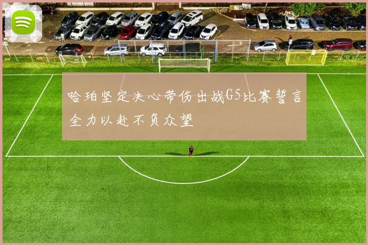哈珀坚定决心带伤出战G5比赛誓言全力以赴不负众望